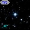 TYC 3134-1272-1