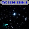 TYC 3134-1380-1