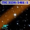 TYC 3134-1466-1