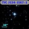TYC 3134-1567-1