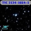 TYC 3134-1664-1
