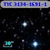 TYC 3134-1691-1