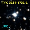 TYC 3134-1731-1