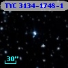 TYC 3134-1748-1