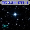 TYC 3134-1757-1