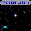 TYC 3134-1783-1