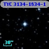TYC 3134-1834-1