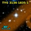 TYC 3134-1835-1