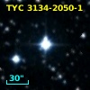 TYC 3134-2050-1