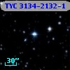 TYC 3134-2132-1