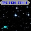 TYC 3138-534-1
