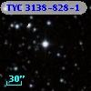 TYC 3138-828-1