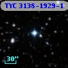 TYC 3138-1929-1