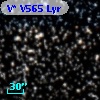 V* V565 Lyr