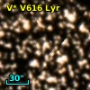 V* V616 Lyr