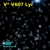 V* V607 Lyr