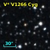 V* V1266 Cyg