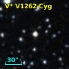 V* V1262 Cyg