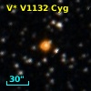 V* V1132 Cyg