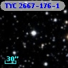 TYC 2667-176-1