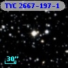 TYC 2667-197-1
