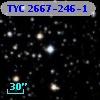 TYC 2667-246-1