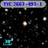 TYC 2667-493-1