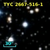 TYC 2667-516-1