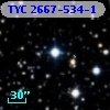 TYC 2667-534-1