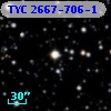 TYC 2667-706-1