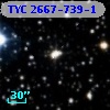TYC 2667-739-1