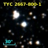 TYC 2667-800-1