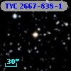 TYC 2667-838-1