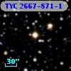 TYC 2667-871-1