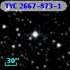 TYC 2667-873-1