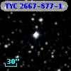 TYC 2667-877-1
