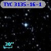 TYC 3135-16-1