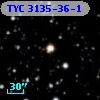 TYC 3135-36-1