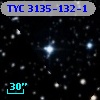 TYC 3135-132-1