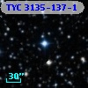 TYC 3135-137-1