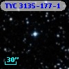 TYC 3135-177-1