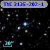 TYC 3135-202-1