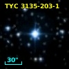 TYC 3135-203-1