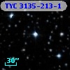 TYC 3135-213-1