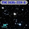 TYC 3135-223-1