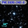 TYC 3135-242-1