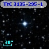 TYC 3135-295-1