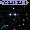 TYC 3135-320-1