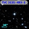 TYC 3135-493-1