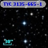 TYC 3135-665-1